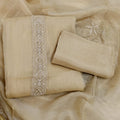 Elegant Crush Tissue Suit with Appliqué Embroidery & Stone Work