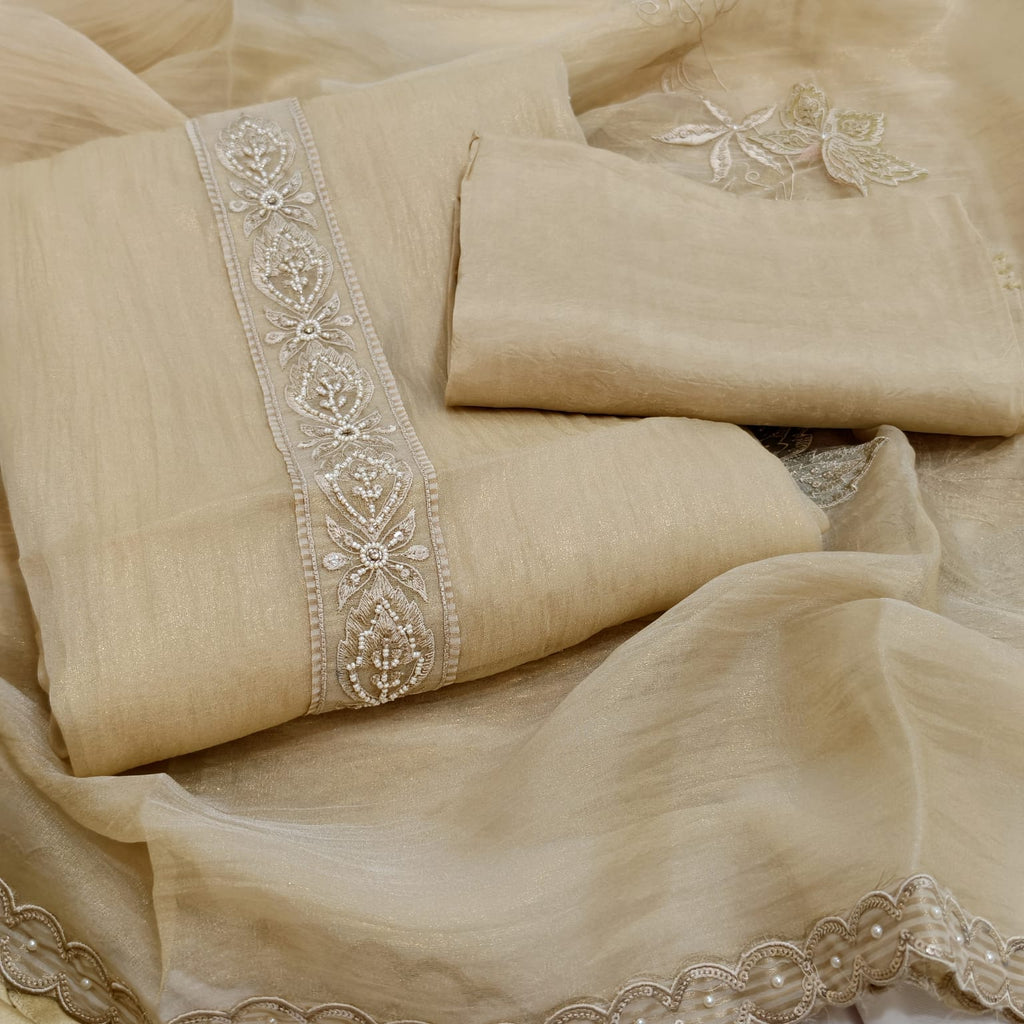 Elegant Crush Tissue Suit with Appliqué Embroidery & Stone Work